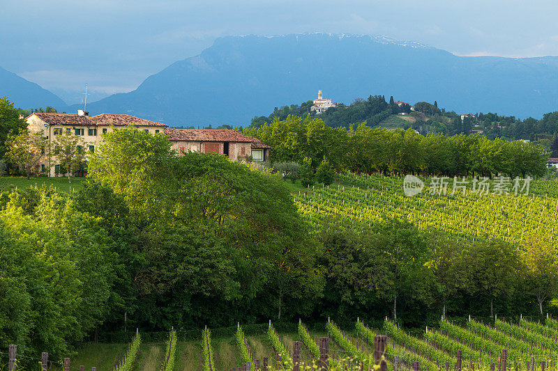 Susegana和Conegliano, Prosecco wine land